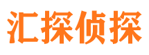 谯城市侦探